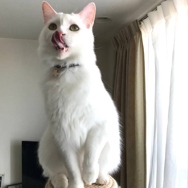 Ef140286 63fa 43bf 88eb 45826ec798a6 1574845525263