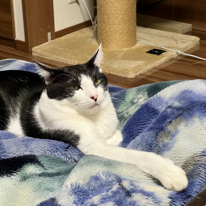 Ef147748 99c6 4919 820b 5b4105abeaa1 1730727139440