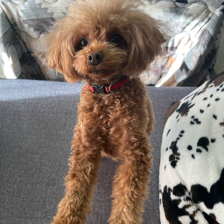 Ef14dacb 31e9 426d ba0d c0b16119c054 1643670323619