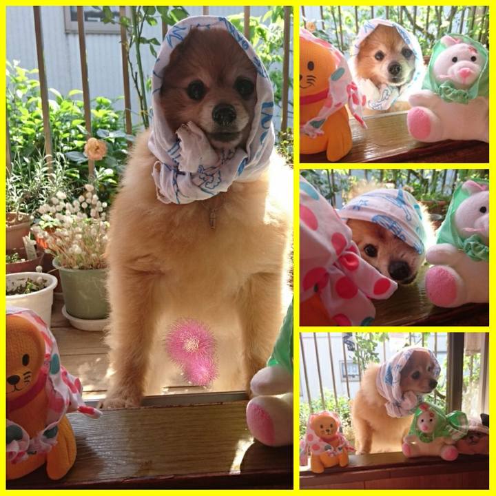 Ef14ec29 d402 4426 89cd b520d06fd9a1 1527379641911