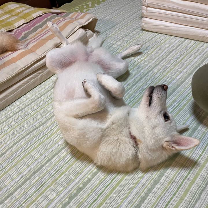 Ef150f44 bd4f 475d 98f0 fabb131f38a4 1606216316719