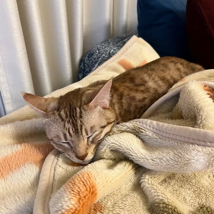 Ef151490 9226 425d 9535 00f80d61c56c 1672926290340