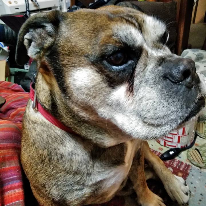 Ef1518ea a781 465b b45c ad27f36a74cd 1519214248358