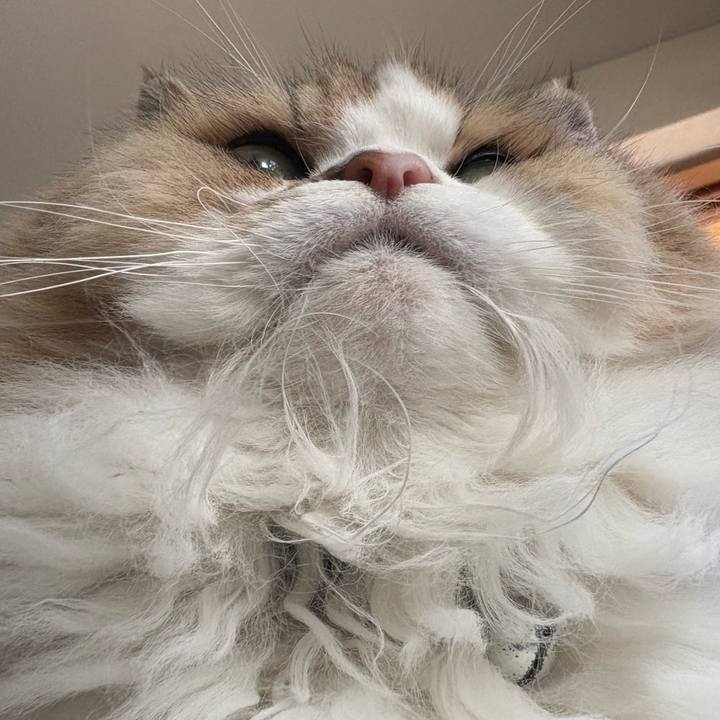 Ef151d05 45e3 45b9 be2a 98aac0718f0d 1764823500972