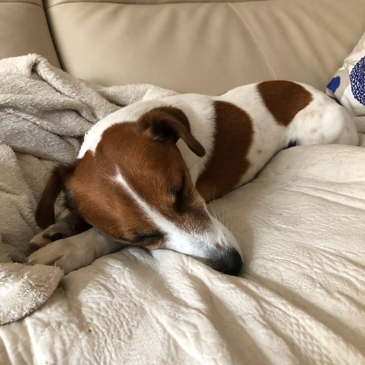 Ef156051 3212 414b 977a ba8adc862681 1526389890699