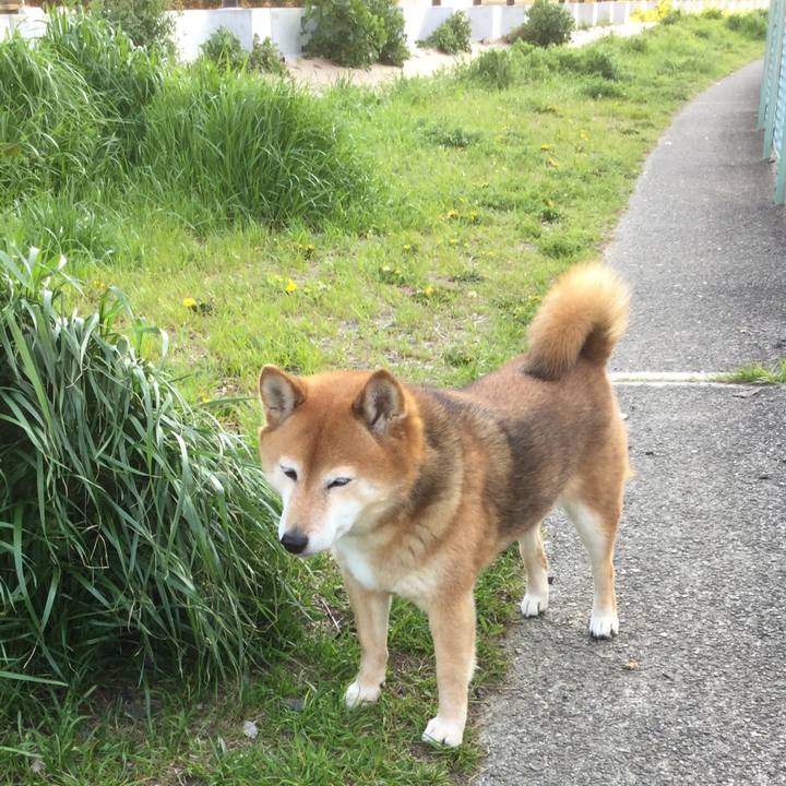 Ef1579d5 18ed 4d54 a788 950d5c287d73 1585988209354