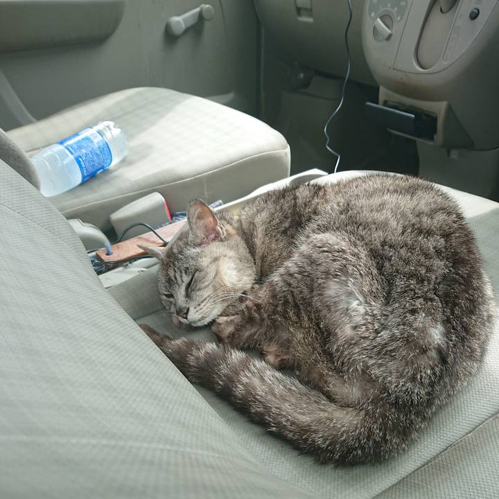 Ef157e44 962f 4c35 90fb 9dbbccc6e51a 1596949779354