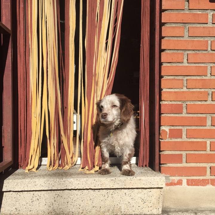 Ef157eca 50cc 406a bd9d 73fd16ccd2ff 1517234320905