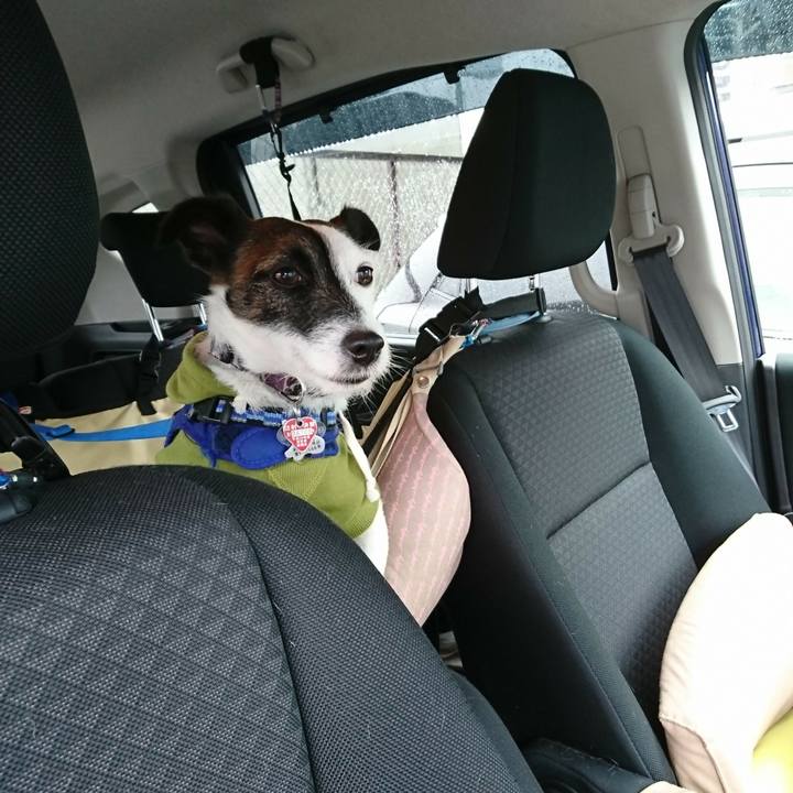 Ef15e297 26be 4b94 9f3c d5469432bd35 1507941059720