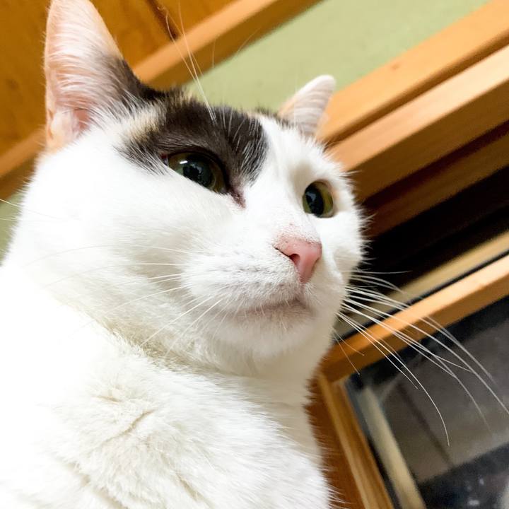 Ef15ef70 d87e 45ed b609 b6c0300c0d4a 1548467041339