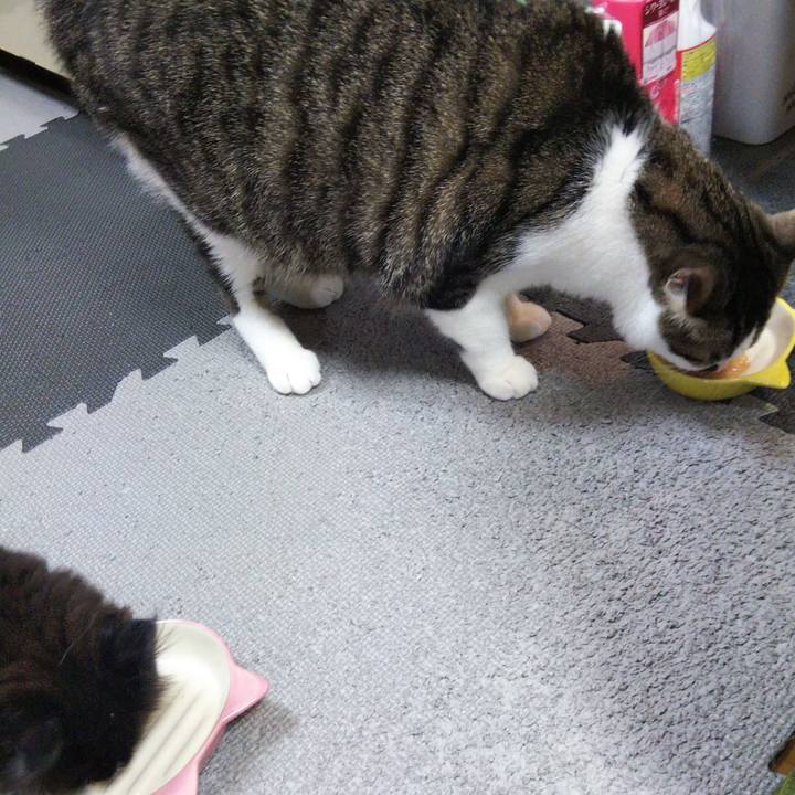 Ef15f072 d652 4fab 904e 65799098d54c 1639573344595