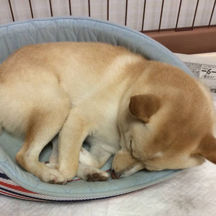 Ef15fe42 73ca 4a57 96b4 d5ef0ebbca2b 1536155650642