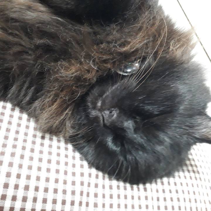 Ef161012 702a 4843 8064 b9e2fe9743dc 1529365613334