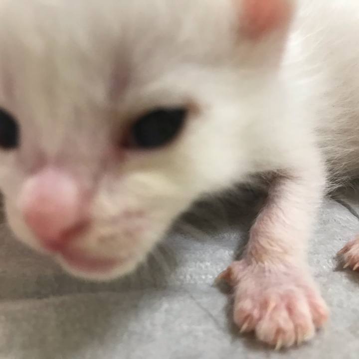 Ef163e90 0521 45af 8f9d f324369de845 1589677691809