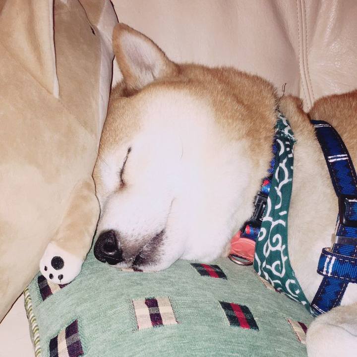 Ef16468c 2f7b 425c 8f92 a03e483ab803 1542345875340