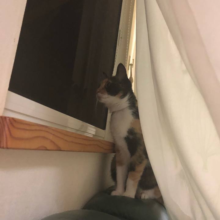 Ef1661d2 23e8 4a8c 9067 c826ab85a016 1530195333042