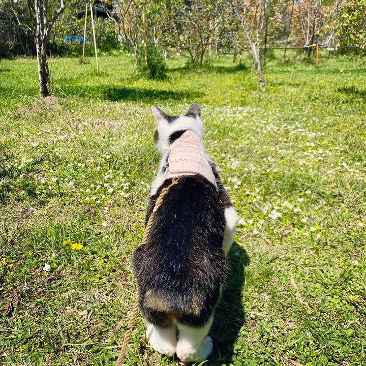 Ef167372 09bc 4c16 9b06 2725b248b3f1 1618029930574