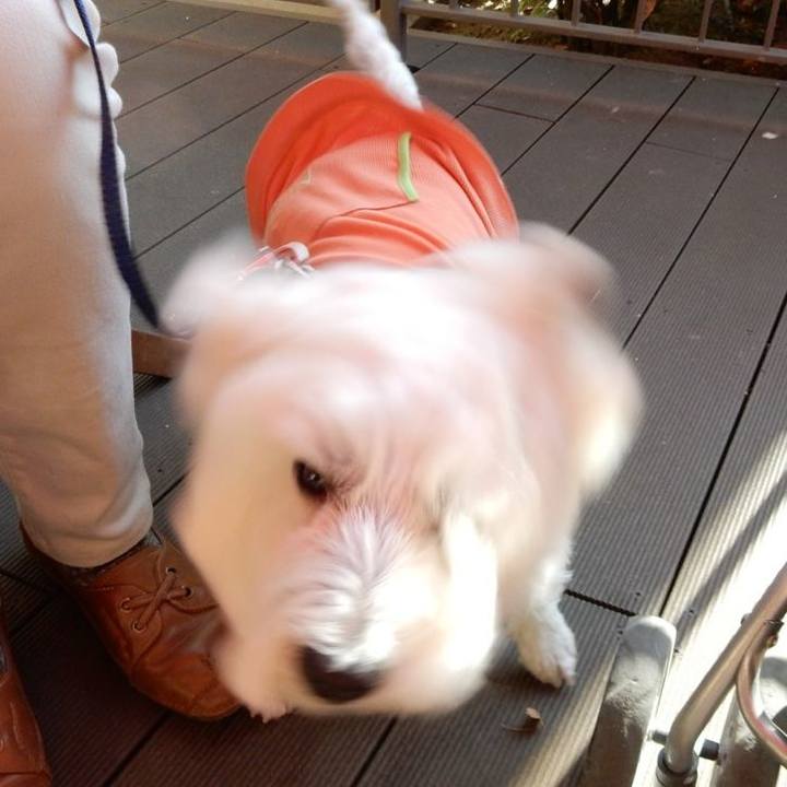 Ef167ab9 a2f1 49d0 8c8f 048e6592e75c 1525876760148