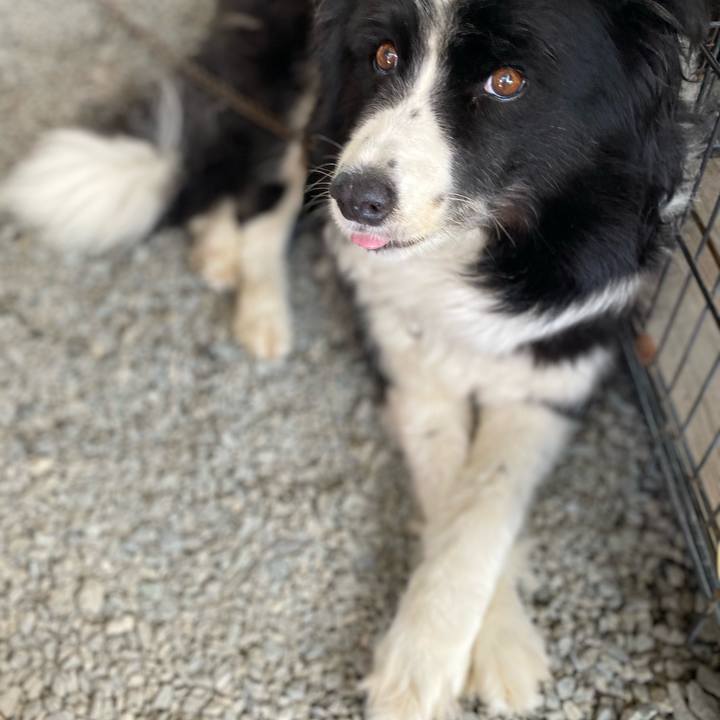 Ef167e26 7516 4977 92f4 6b64181c711a 1626393667657