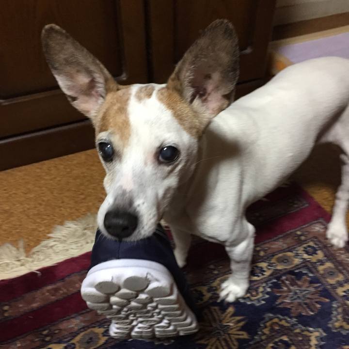 Ef168f53 2819 4f26 b4d3 711b9f3c1be5 1527580753708