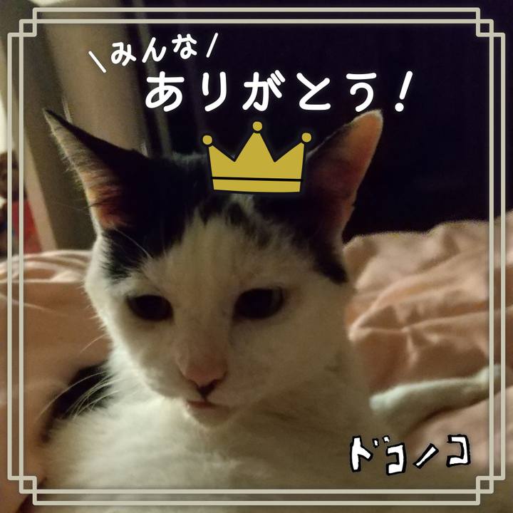 Ef16934b 6f71 4529 8ef2 7ffc0d1a16be 1622893299554