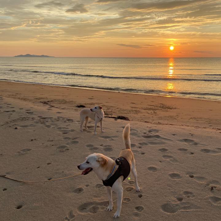 Ef16b438 7a2c 4bd9 9e84 836509288937 1631080143717