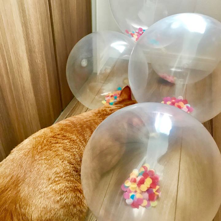 Ef16ce94 e0b0 4fe0 9bd9 8a5f0805ce0a 1597108605555