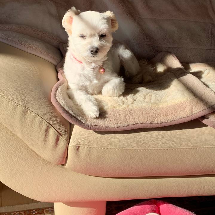 Ef16d1e5 7134 4e27 b0db 598613b5619a 1575170197377