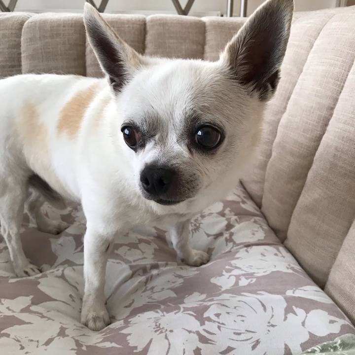 Ef17017b 828f 4dab aff1 e58df7431728 1659585991403