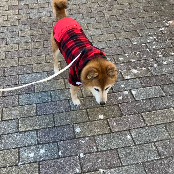 Ef170208 5817 41fa 9341 cb7b16b48cb0 1736734889843