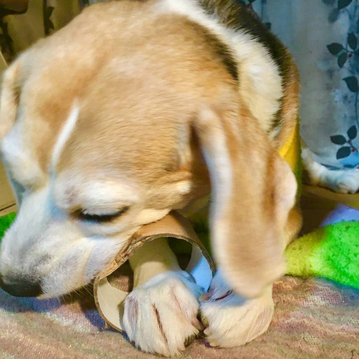 Ef1714ba 7b23 4552 913c 513b1509a915 1772071502570