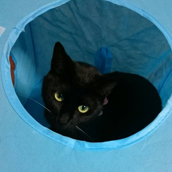 Ef172b45 ce1d 4c1e a3a9 f35959099b4f 1520293670440