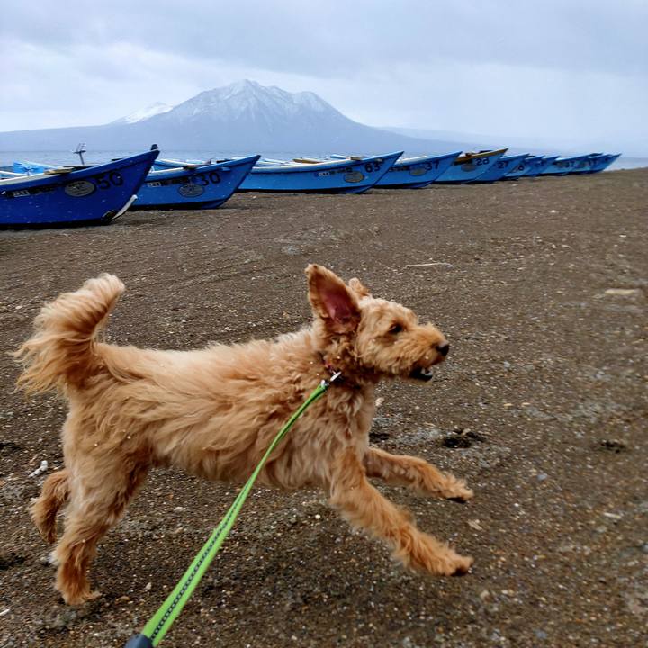 Ef173104 87c5 4f89 8b65 b3e2b4d5943d 1587624021980