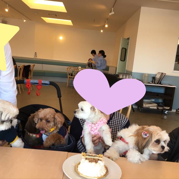 Ef174351 5243 4ff8 9ff5 64385bbdc889 1521863860875