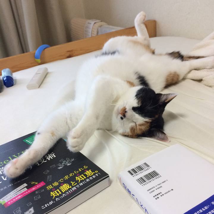 Ef1749f7 e530 4e1a b9bf 35bdbfb6bc52 1570232293064