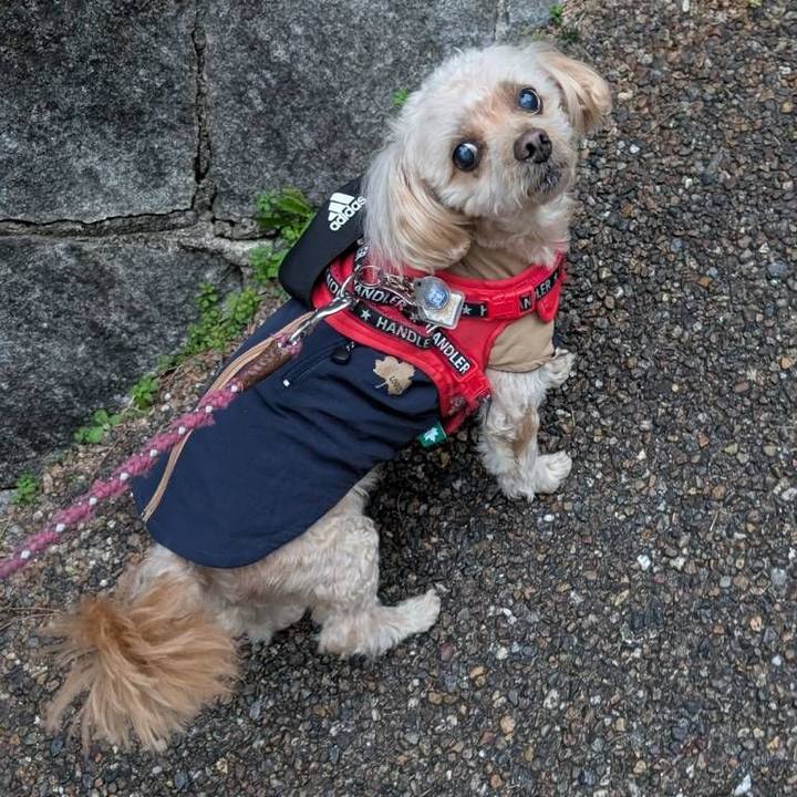 Ef17517c 6031 44a0 91f2 7e63d64dc68a 1732703828678