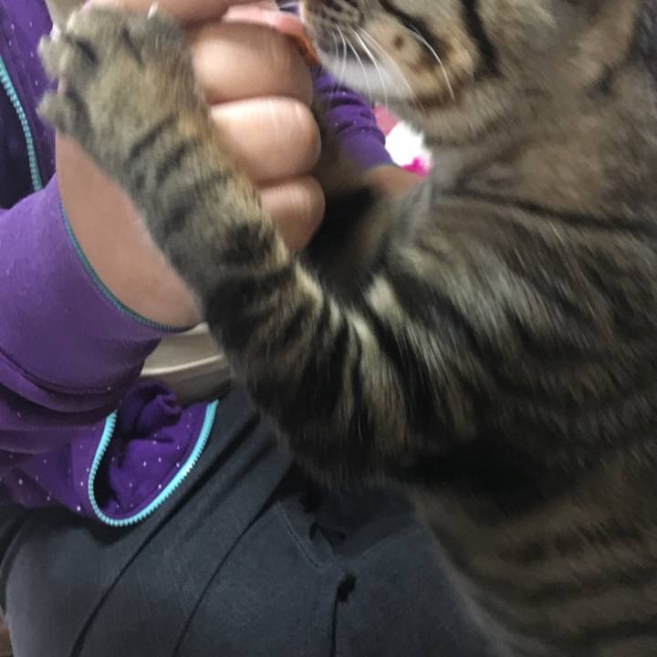 Ef177cf8 e3cf 4a61 aaba d46a885c609f 1541471095154