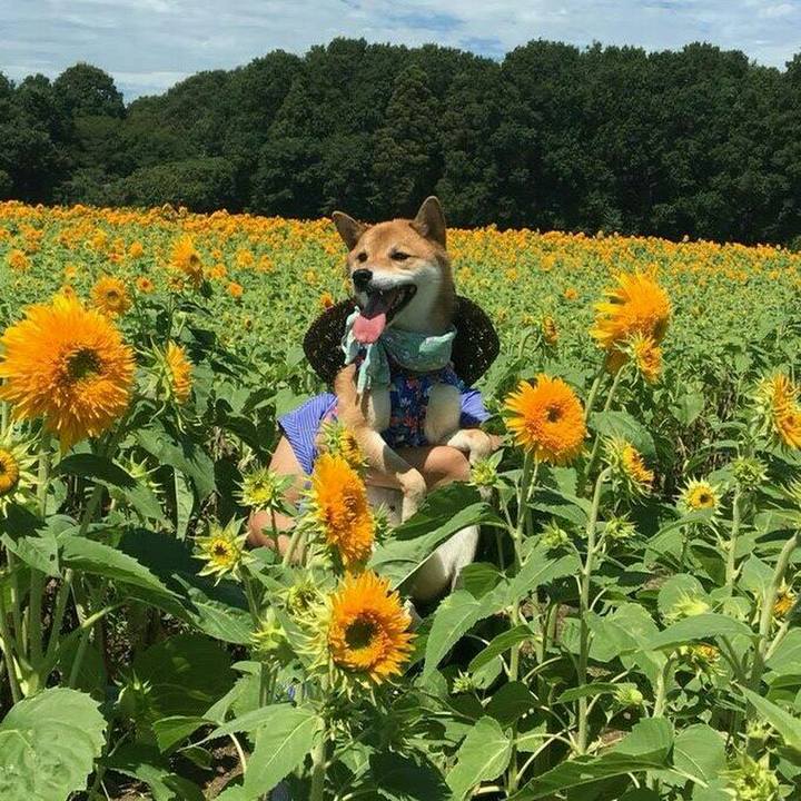 Ef17b7b2 e849 46c8 b67a e17c4fe795e2 1535181528963