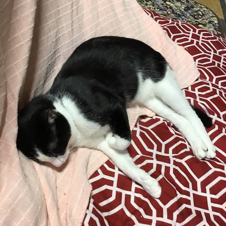 Ef17c7a7 b6a5 4cb9 91e5 0278cf469120 1636450115667