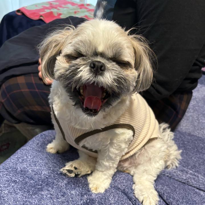 Ef17e2c0 aab9 4b27 bf50 a35b1d6a2227 1715181173972