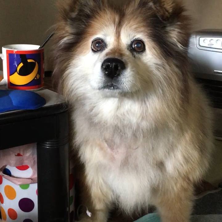 Ef17f486 9761 4039 b598 d0d422add47c 1584370674604