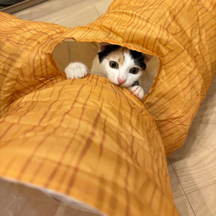 Ef18139b 2414 40e5 bb3b 5d540e51d4ff 1760707835773