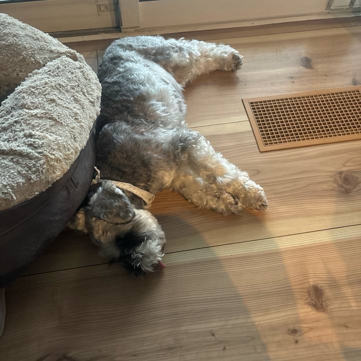 Ef182cc5 f9dc 46c1 bd4e 2405da96e691 1720936258620