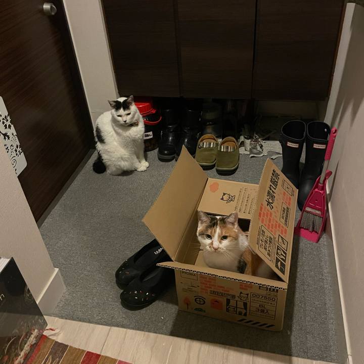 Ef18312c a325 4b55 bb9b 81a8f7f8a40d 1699698552603