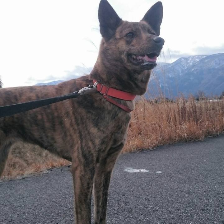 Ef183d2d a258 4e28 ba69 34a5a475fd91 1517631622278