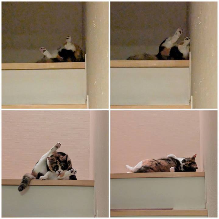 Ef18528f 400a 404a b465 cfbcd6495a4b 1757396133764