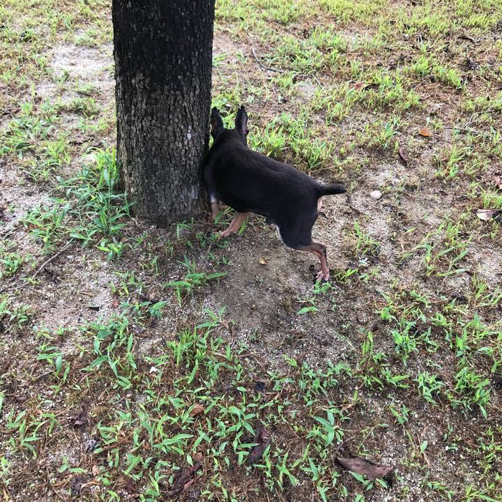 Ef18a300 8974 4737 87f8 48d8d2251c01 1565696452014