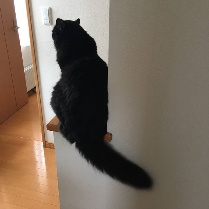 Ef18b01e 0d38 4ec6 ac4e 5c9d6df101a8 1532935091710