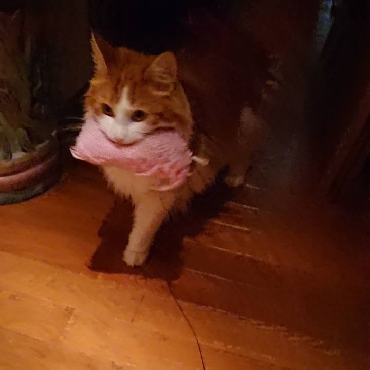 Ef190ce5 9a28 4867 a07c 60f3713f8934 1532093127338