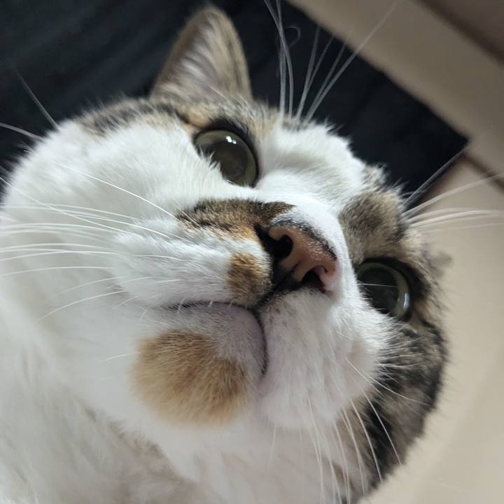 Ef191191 8d93 44e6 8c94 a61f6e5fb7fd 1725059918189